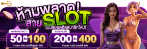 megaplay888 ฝากถอนทรูวอลเล็ต ออโต้ ไม่มีขั้นต่ำ รวดเร็ว